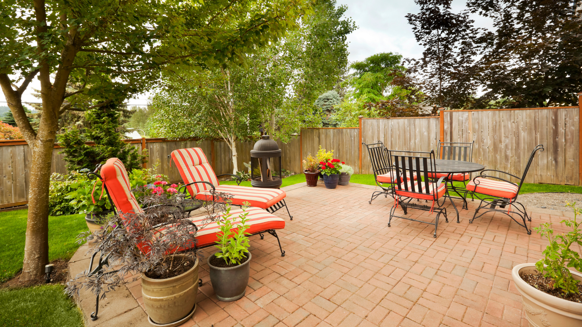 5 Best Noise-Blocking Plants for a Quieter Home Environment| Podhya 1 beautiful garden