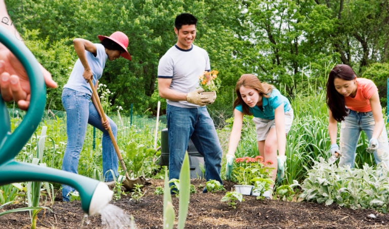 physical activity in community garden and organic gardening