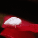 Insecticidal soap is a safe and effective way to control mealybugs on your plants.