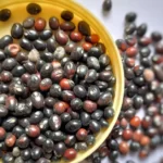 How to Grow Abrus Precatorius in India? 12 Abrus precatorius