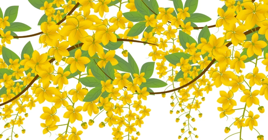 Golden Shower Tree Grow and Care | Cassia Fistula Propagation 6 Golden Shower Tree, Cassia Fistula